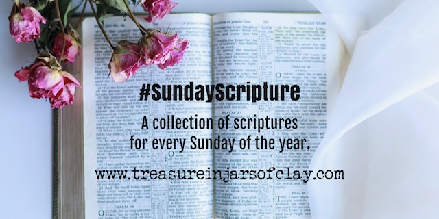 Sunday Scripture
