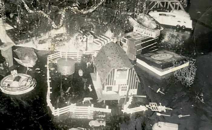 Query Family Christmases