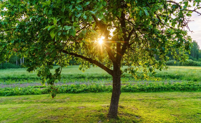 Male and Female He Created&nbsp;Them