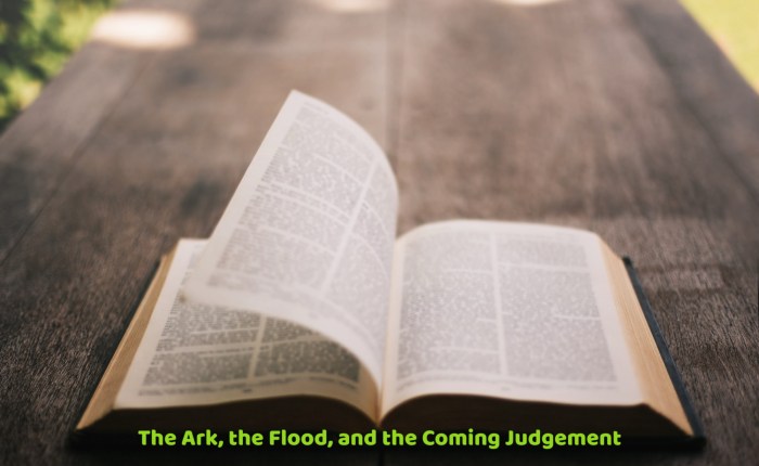 The Ark, the Flood, and the Coming&nbsp;Judgement