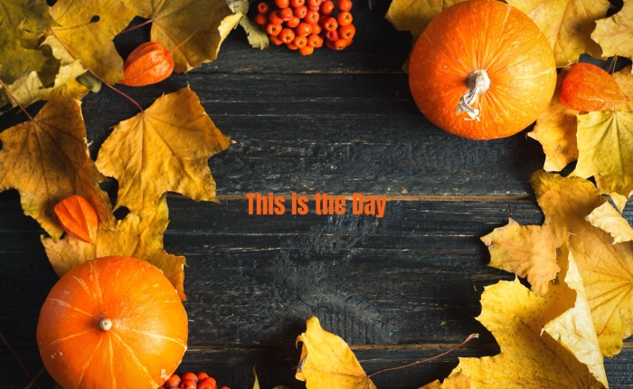 This is the&nbsp;Day